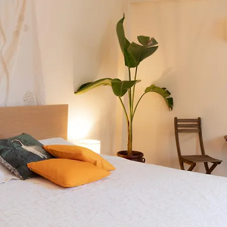 Ananke Nicosia