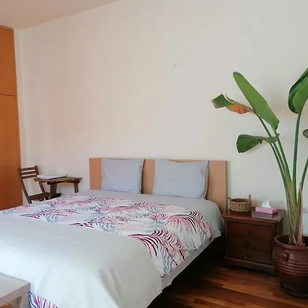 Ananke * Нікосія