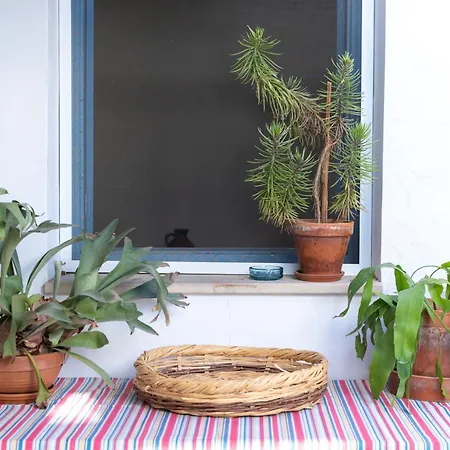Bed and breakfast Ananke