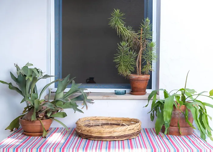 Bed & Breakfast Ananke